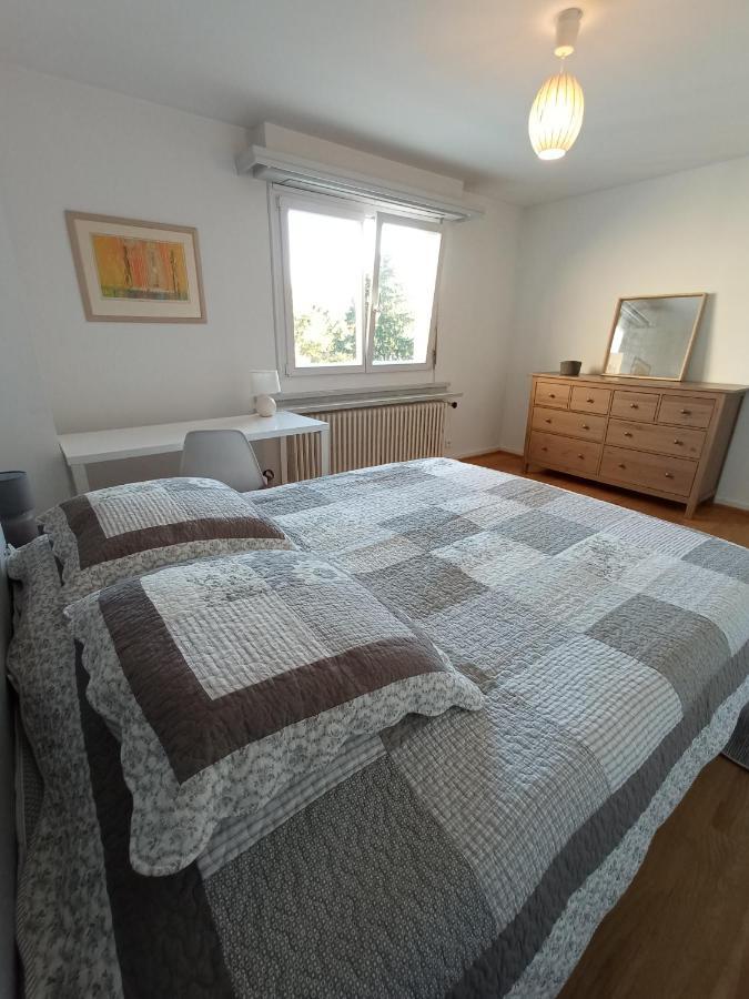 Rare A Colmar - Appartement Champ De Mars Vue Sur Parc - 70M2 - 2 Chambres ภายนอก รูปภาพ