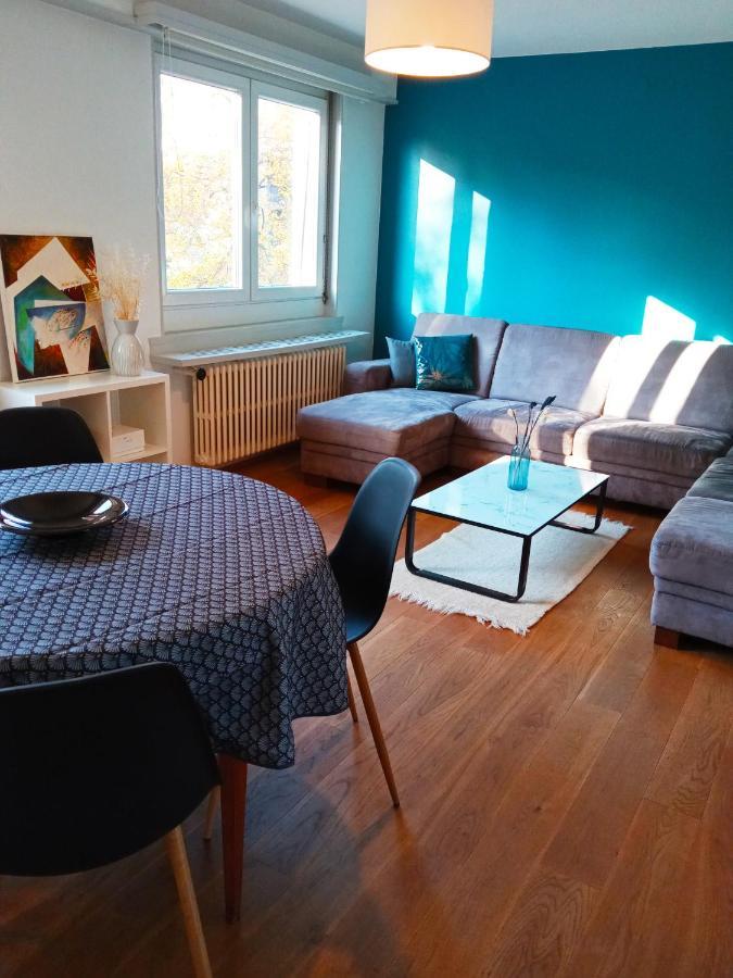 Rare A Colmar - Appartement Champ De Mars Vue Sur Parc - 70M2 - 2 Chambres ภายนอก รูปภาพ
