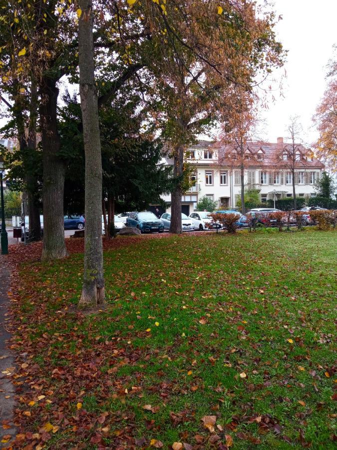 Rare A Colmar - Appartement Champ De Mars Vue Sur Parc - 70M2 - 2 Chambres ภายนอก รูปภาพ