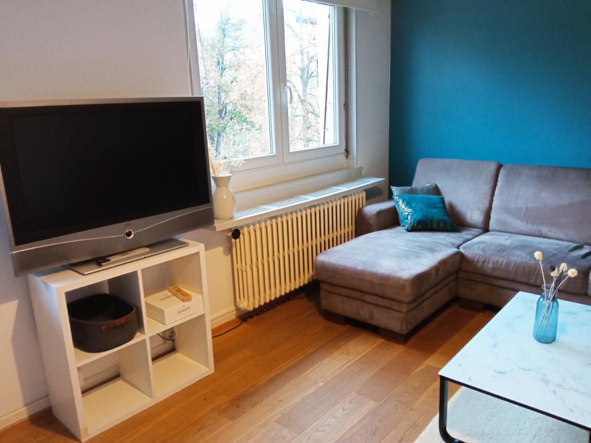 Rare A Colmar - Appartement Champ De Mars Vue Sur Parc - 70M2 - 2 Chambres ภายนอก รูปภาพ