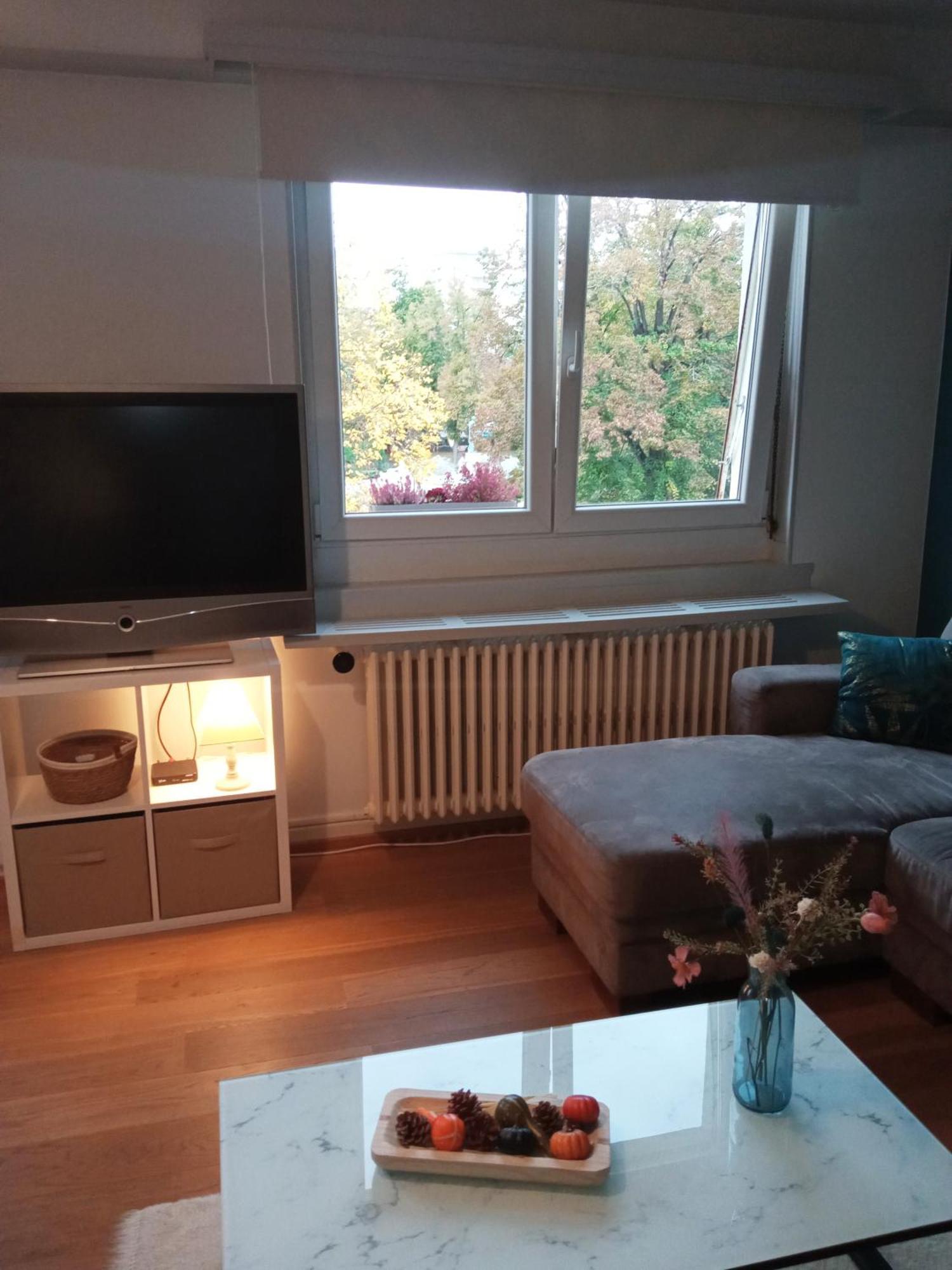 Rare A Colmar - Appartement Champ De Mars Vue Sur Parc - 70M2 - 2 Chambres ภายนอก รูปภาพ